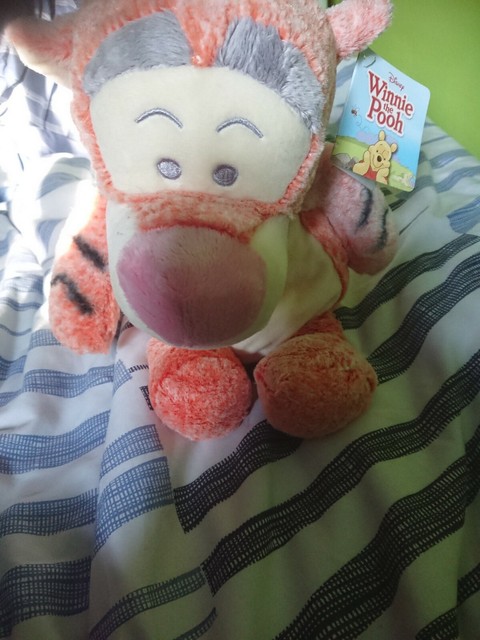 winnie the pooh snuggletime