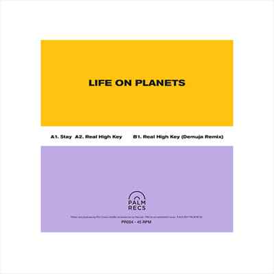 Life on Planets / STAY / Palm Recs / PR004 / 12 Inch