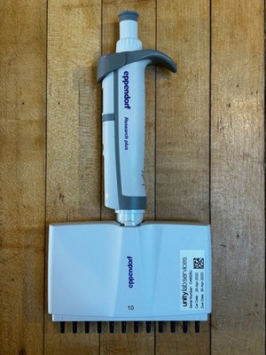 Eppendorf 12 Channel Pipette 1.0 10 µL   Multichannel   Tested Excellent 
