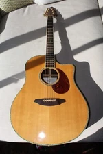 Breedlove Atlas AD25/SR Plus