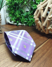 NFL Minnesota Vikings Rhodes Necktie - Men's Tie - Necktie