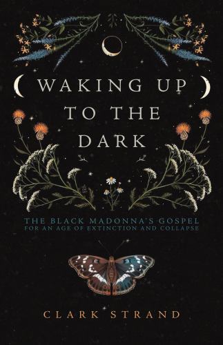 Waking up to the Dark : The Black Madonna's Gospel for an Age of Extinction ...