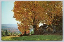 VT New England Fall Foliage Postcard Maple Sugar Shack David Tilton Chrome