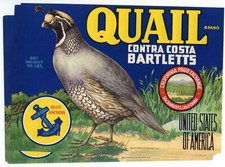 15 Quail Brand Pear Crate Labels, Wholesale