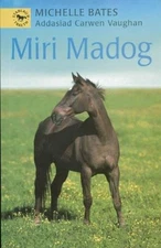 Miri Madog (Cyfres Stablau'r Traeth) (Welsh Edition) By Michelle