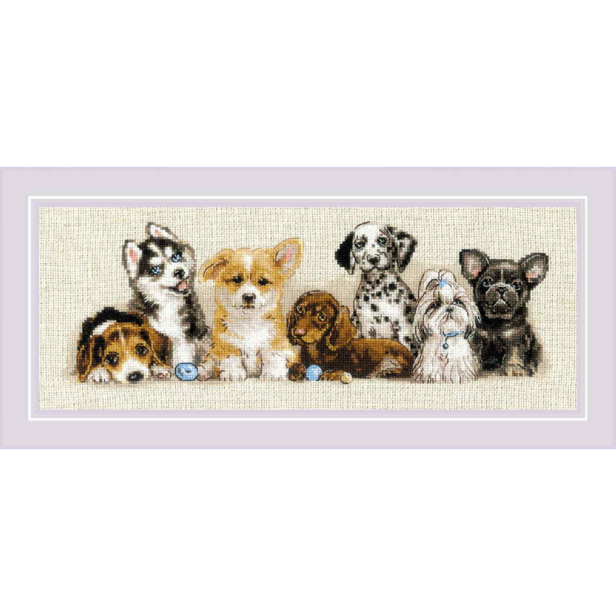 Riolis counted cross stitch kit ""Puppies"", 40x15cm, DIY