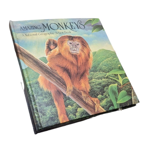 Amazing Monkey National Geographic Action Book Vintage 80s - 第 1/4 張圖片