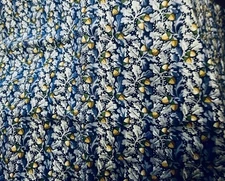 Cocheco II 1883-1889 The American Textile History Museum P & B Textiles BTFQ