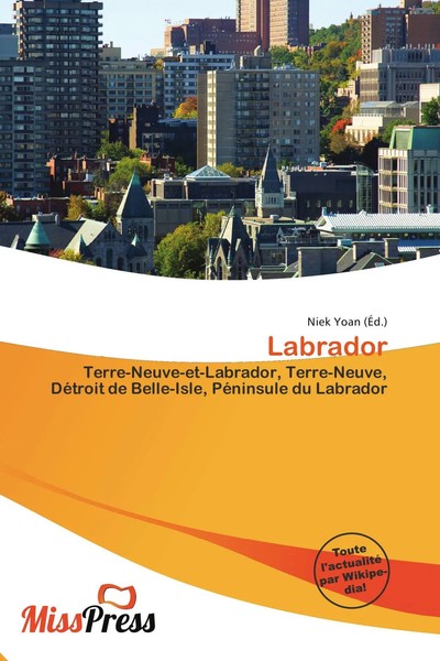 Niek Yoan | Labrador | Taschenbuch | FranzöSisch (2026) | Omniscriptum-image