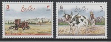 Afghanistan 2003 Farmer Day Journée du paysan Agriculture vache cow Kuh boeuf