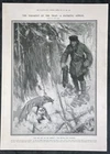 1907 Illustrated London News Antique Print Fox Trapping in Winter, Canada
