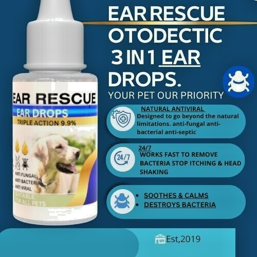 Dogs Ear Yeast Infection ear infection drops removes stinky stuff from