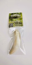 Huge 3" Louisiana Alligator Gator Tooth Teeth Large Genuine Craft Jewelry