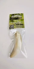 Huge 3" Louisiana Alligator Gator Tooth Teeth Large Genuine Craft Jewelry