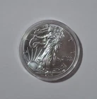 2016 $1 American Eagle 1 oz Silver Dollar Coin Walking Liberty Ungraded