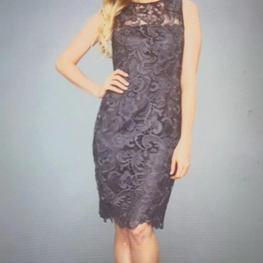 Adrianna Papell illusion lace sheath dress size 2
