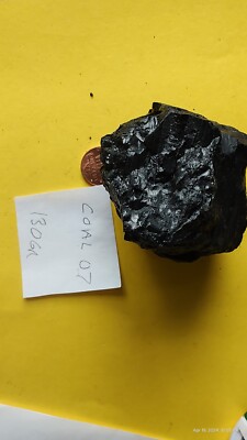 Coal Specimen sample Mineral Stone Bituminous Coalminer 130 gr