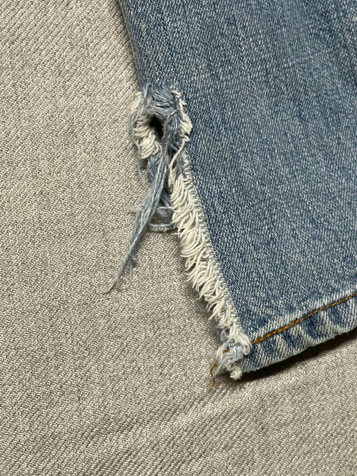 Picture 6 of 11