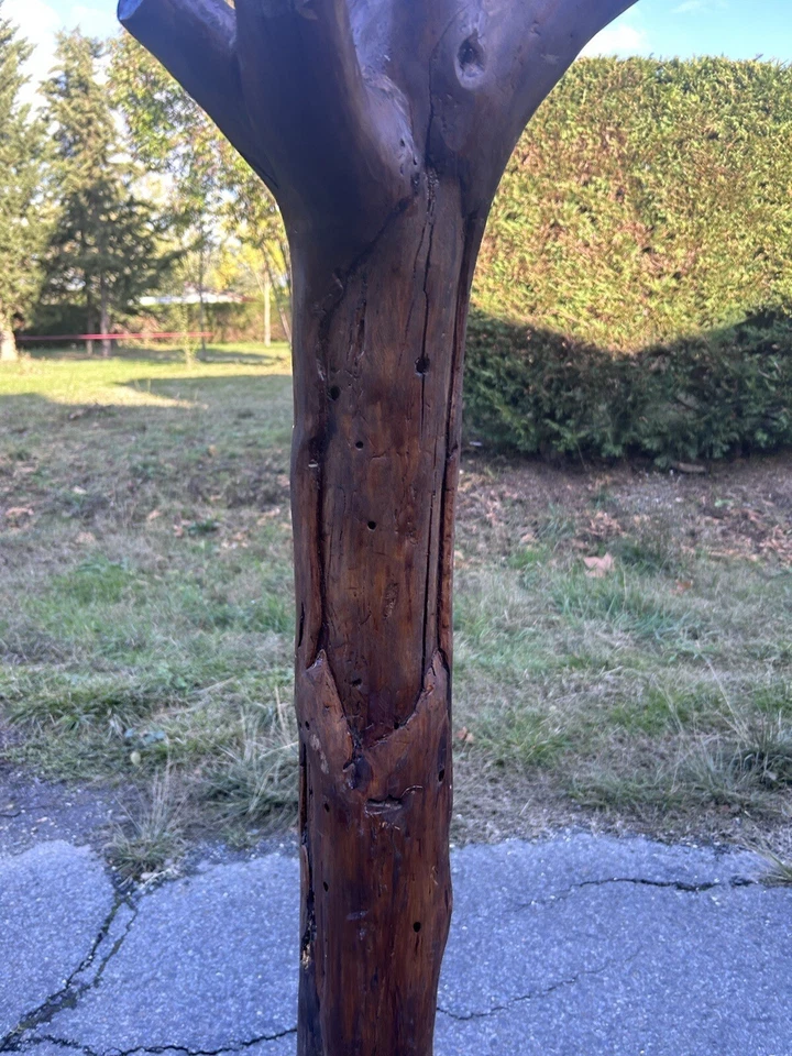 Porte Manteau Art Populaire Ancien Bois Arbre Perroquet Patère Bergerie Campagne - Photo 3/4