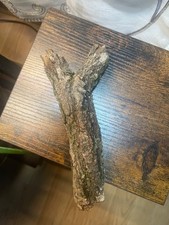 “Unique 7-inch Y-Shaped Tree Branch – Natural Wishbone/Slingshot Shape – Rustic 