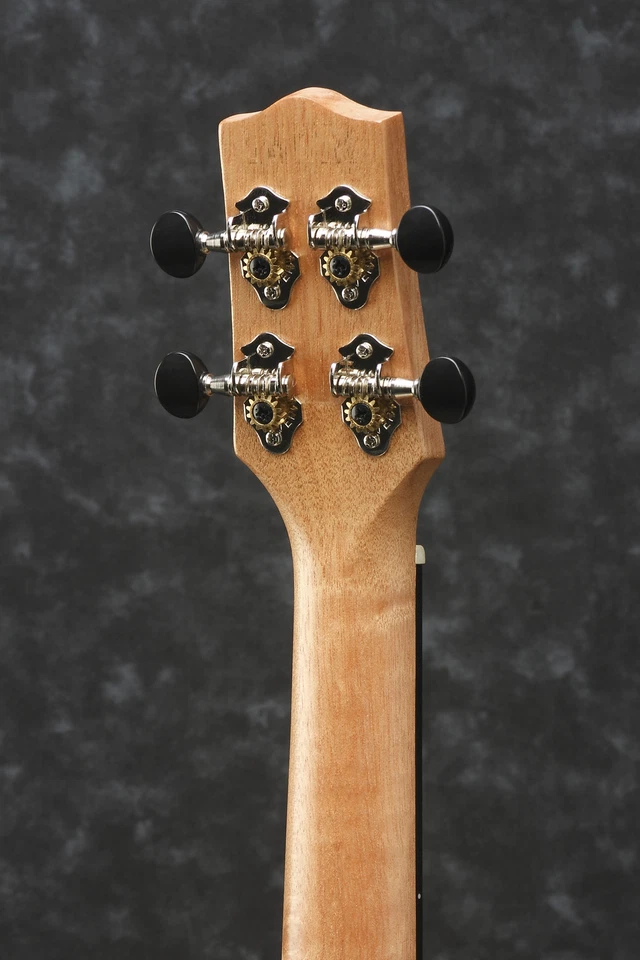 Ibanez UEW12E Flame Maple Acoustic-Electric Concert Ukulele, New! - Image 4 of 4