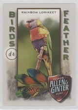 2021 Topps Allen & Ginter's Birds of a Feather Rainbow Lorikeet #BOF-10 0c4