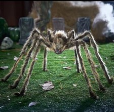 Large Giant Spider Halloween Outdoor Decorations Scary Large Spider Props for Ya
