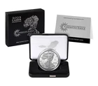 2025 Laser Engraved American Eagle One Ounce Silver Proof Coin IN HAND
