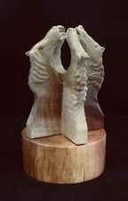 Hand Carved Horses Carousel