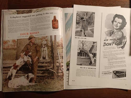 LIFE: November 23, 1936 (First Issue) - US Magazine / Helen Hayes, Robert Taylor - Picture 8 of 12