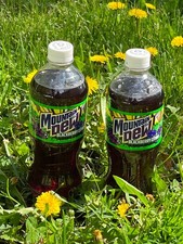 New Mountain Dew Blackberry Citrus 2- 20 Oz Bottles MTN Caseys IN HAND