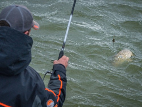 Guru A-Class Method Feeder 3.05 - 3.66m 2+2 brins Canne Carpe - Photo 7/13