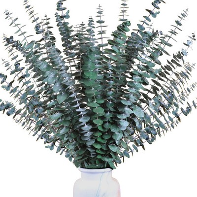 30Pcs Dried Eucalyptus Stems 17'' Real Preserved Eucalyptus Plant for Shower F...