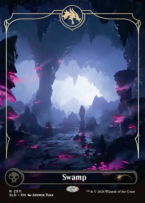 Swamp 2511 Borderless R Normal SLD MTG NM