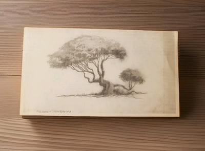 Mid-Century Original Graphite Sketch Harges Tilden Park Manzanita 5''x9'' Unframed