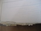 Picture 8 of 8