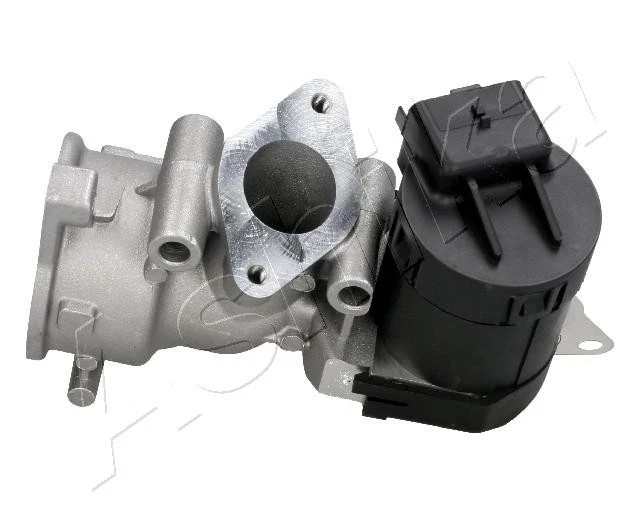 ASHIKA 150-00-0302 Valvola EGR per CITROËN,FIAT,FORD,LANCIA,PEUGEOT,RENAULT,VOLV - Immagine 3 di 4