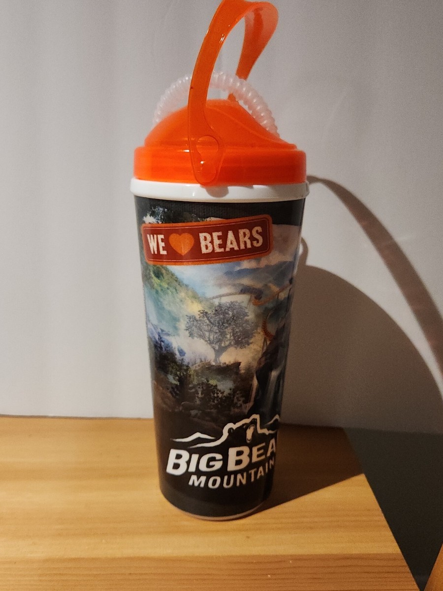 DollyWood Souvenir Refillable 24 oz Tumbler Cup Orange Lid Big