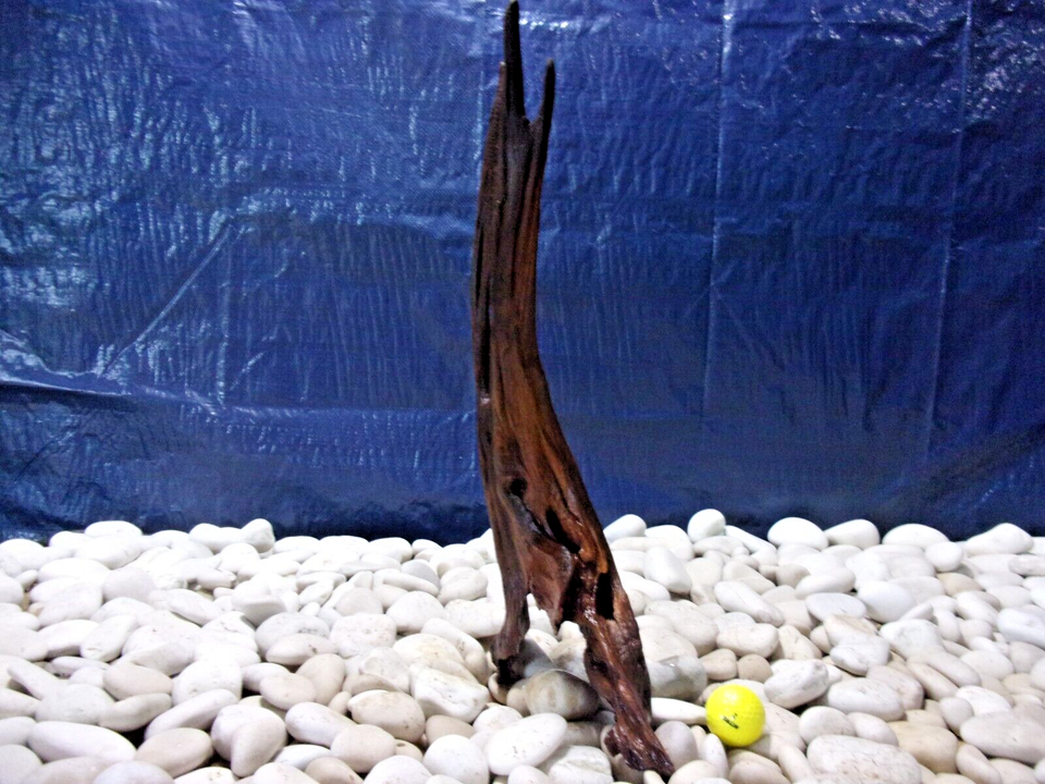 Large Driftwood Aquarium Loose Wood, Very Low Tannins, Freshwater
