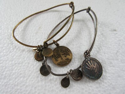 2014-2015 Alex and Ani  + Energy Charm Bracelet
