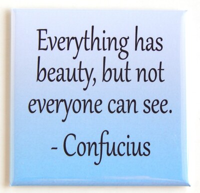 ''Everything Has Beauty'' FRIDGE MAGNET inspirational quote