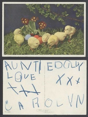 Küken Vögel Eier Blumen Küken Vogelei Gras Ostern Swiss alte Farbe Postkarte