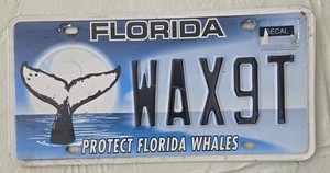 2020 Vintage Florida License Plate Whale Tail Environmental Wildlife Ocean