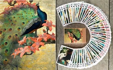 Playing Cards (Poker Deck 54 Cards) Fantastic Birds Vintage Art by Botke 103