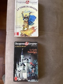 Rare lot de 2 Dunjeons and Dragons en francais de 1997 EO