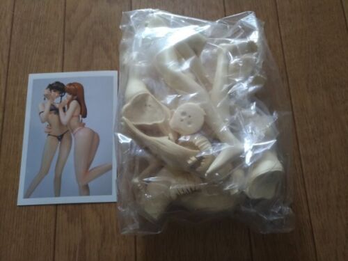 Resin Cast Kit Figure DOA Dead or Alive Rayfan & Hitomi Swimsuit with Box - Picture 1 of 3