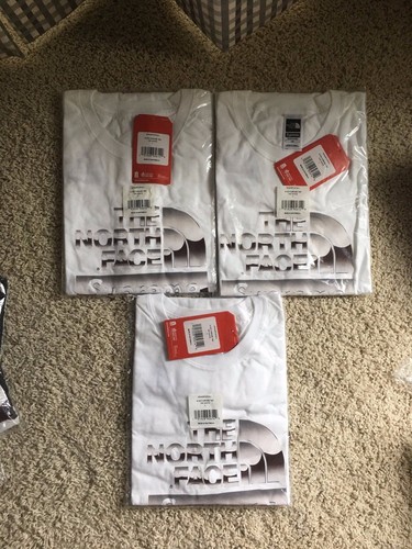 Supreme x The North Face Metallic Logo 