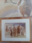 Foto 4 di 4