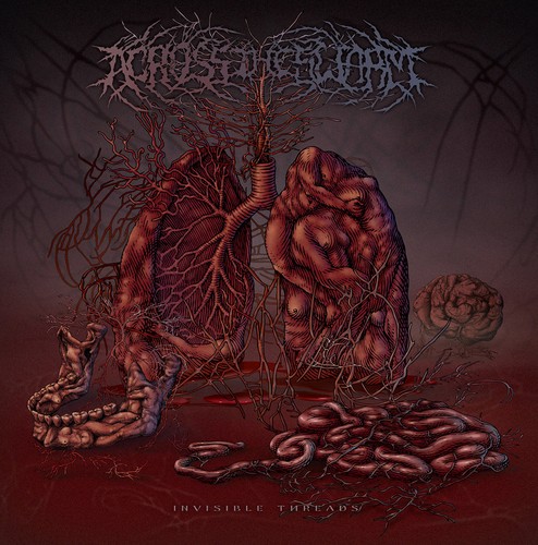 ACROSS THE SWARM - invisible threads DigiCD prezzo ebay