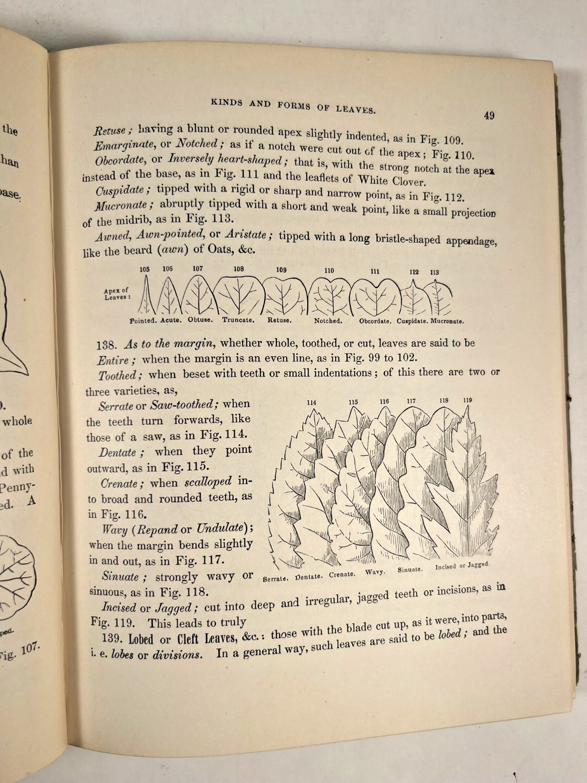 How Plants Grow with A Popular Flora by Asa Gray, M. D. 1858 ACCEPTABLE